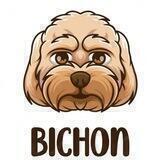 BICH BSC OFFICIAL