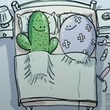 🌵🔕Кактус