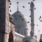 إنه محمد ﷺ فهل تعرفينه؟