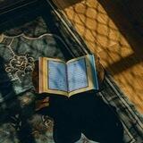 🍃واذكر ربــك إذا نســـيت 🍃