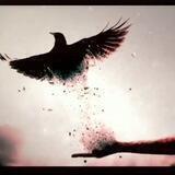 تَأَمَّلْ❗