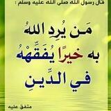 📚قناة الشيخ أبي الحجاج العلاوي📚