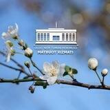 Ulug'nor tuman hokimligi matbuot xizmati