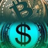CRYPTO ZED