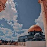 نعناع القدس