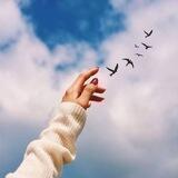 خــواطــر وإيجابـيـات☁️🕊♥️