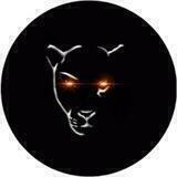 Panther Quant Announcement