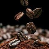 Coffee☕️