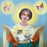 гарем котят хеяна ♡