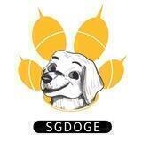 SGDOGE(奋斗狗）🇨🇳