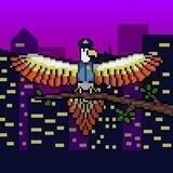 Radical Parrots