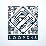LoopDNS Plan