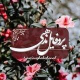پروفایل مذهبی