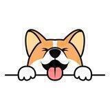 [EN] Corgidoge Official - Binance smartchain