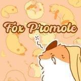 FᜊX PROMOTE (๑•‌ᜊ<๑)う