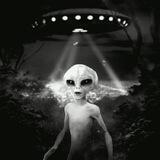 Záhady a konspirace 👽