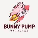 Bunny Pump 🐰🚀