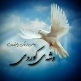 وشەی کوردی ☀️