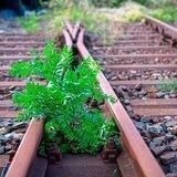 Die Nebengleis Strategie