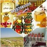 گروه عسل درمانی و محصولات ارگانیک