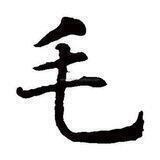 阿毛/转账截图软件正版