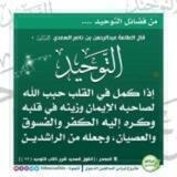 الحياة السلفية