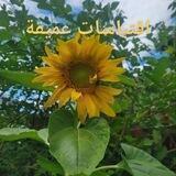 ❤️‍🔥نـبـ♡ـض❣أقـ✍ـتباسات💜