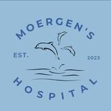 𝐌oergen's 𝐇ospital 🐬