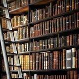 دوحة الكتب