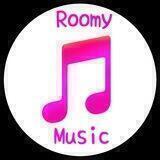 🎶 Roomy Music 🎶