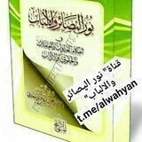 🌴نور ٱلپصآئر و آلألپاب 🌴