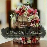 تعالوا نملأ بيوتنا حب