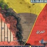 هجين الأن