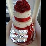 SHODIYONA TO‘RTLARI