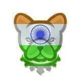 Pitbull India