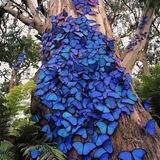 🦋عشق جاودان🦋