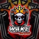 ☠️ WAKE MOD SETUP ☠️
