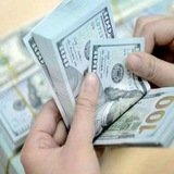 اسعار الدولار والذهب