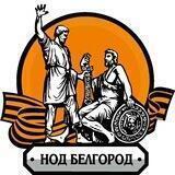 НОД Z г.Белгород V