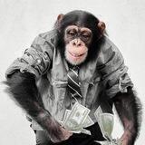 MONkEY CLUB