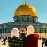رُوٰحَ الفُؤادِ 🌸!.