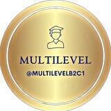 Multilevel B2/C1 official group