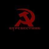 Буревестник__