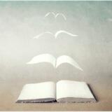 Biblioteca per la consapevolezza