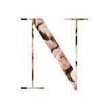 The Noisetier