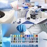 معلومــات مختبريـ🔬ـه