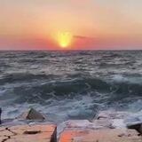 🕊🌼 سعادتي وراحة قلبي 🌼 🕊