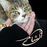 فـٰ̲ـہيـٰ̲ـہدٰيـٰ̲ـہوٰهـٰ̲ـہاٰتـٰ̲ـہ✿⇣