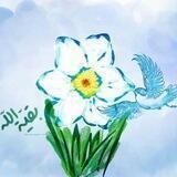 گروه بوی نرگس