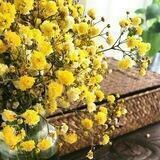 أفراحنا إسلاميه")💛🌻